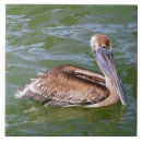 Search for pelican tiles Water