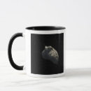 Search for kuiper belt mugs Concept