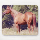 Search for horse mouse mats Mare