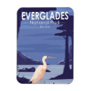 Search for egrets magnets Wildlife