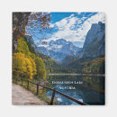 Search for alpine magnets Landscape