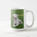 Search for argentinian mugs White