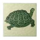 Search for tortoise gifts Galapagos