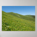 Search for mountain backdrops Nature