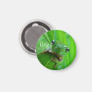 Search for tree frogs magnets Amphibian