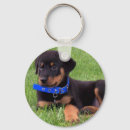 Search for rottweiler key rings Puppy