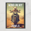 Search for funny motorcycle postcards Dog