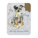 Search for acd magnets Dog