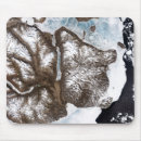 Search for shoreline mouse mats Sea