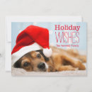 Search for illuminated christmas cards Close up