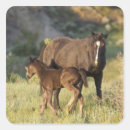 Search for wild grass stickers Brown