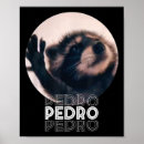 Search for racoon posters America