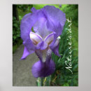 Search for purple iris art posters Lavender
