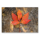Search for colourful horizontal photocards Autumn