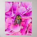 Search for bumble bee posters Pink