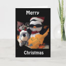 Search for boyfriend christmas cards Penguin