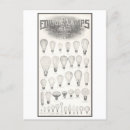 Search for edison postcards Light