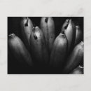 Search for entertaining postcards Black and white