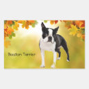 Search for terrier rectangle stickers Puppy