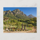 Search for colour image postcards Gallo images