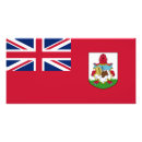Search for island flag posters Patriotic
