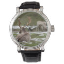 Search for deer hunting watches Elk