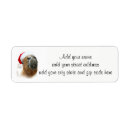 Search for funny horse return address labels Pony