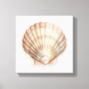 Search for seashells sea shells canvas prints Beach