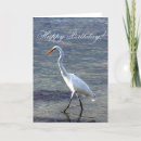 Search for great egret cards Animal
