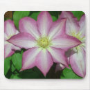 Search for clematis mouse mats Vine