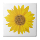 Search for sunflower tiles Floral photography