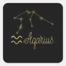 Search for aquarius zodiac sign stickers February