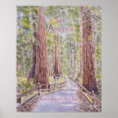 Search for redwood posters Watercolor