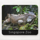 Search for zoos mouse mats Animals