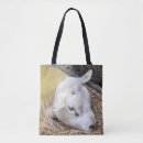 Search for ewes bags Farming