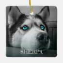 Search for black dog christmas tree decorations Siberian husky
