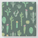 Search for stone plants Cacti