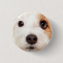 Search for big eye badges Eyes