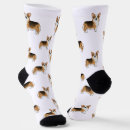 Search for welsh corgi socks Pembroke