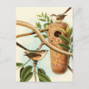 Search for nests postcards Tree