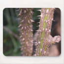 Search for planted mouse mats Garden