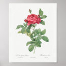 Search for floral posters vintage