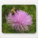 Search for thistle mouse mats Nature