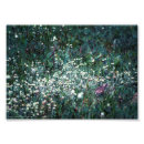Search for meadows art Photograph