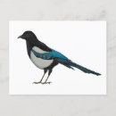 Search for watercolor bird postcards Cute