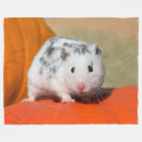 Search for hamster blankets Funny