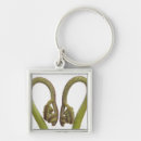 Search for cutouts key rings Close up view