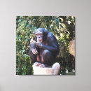 Search for conservatives canvas prints Mammal