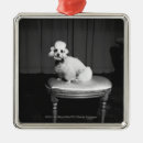 Search for poodle christmas tree decorations Sitting
