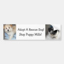 Search for resuce Dogs
